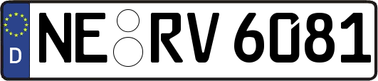 NE-RV6081