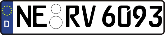 NE-RV6093