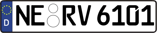 NE-RV6101