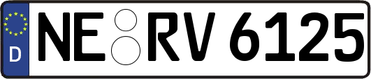 NE-RV6125