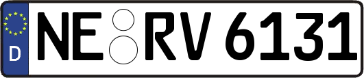 NE-RV6131