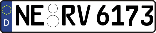 NE-RV6173