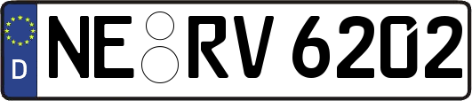 NE-RV6202