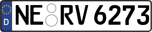 NE-RV6273
