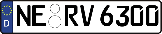 NE-RV6300
