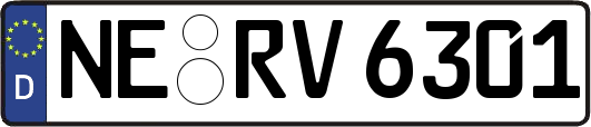 NE-RV6301