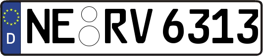 NE-RV6313