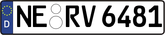 NE-RV6481