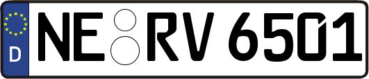 NE-RV6501