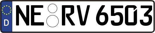 NE-RV6503