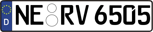 NE-RV6505