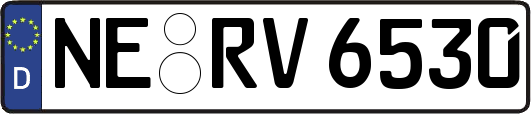 NE-RV6530