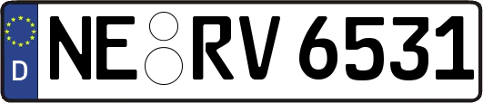 NE-RV6531