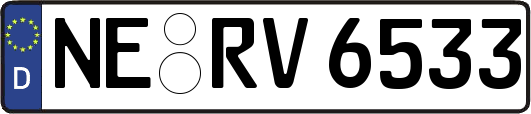 NE-RV6533