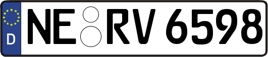 NE-RV6598