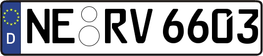 NE-RV6603
