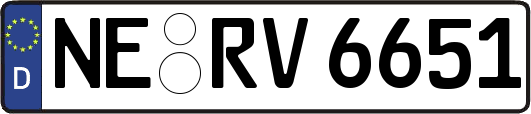 NE-RV6651