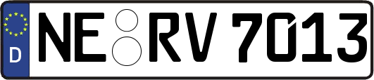 NE-RV7013