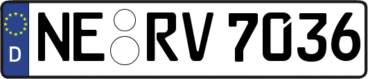 NE-RV7036