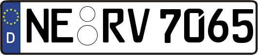 NE-RV7065