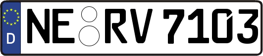 NE-RV7103