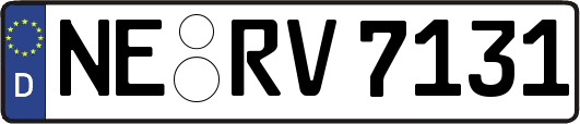 NE-RV7131