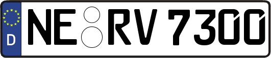 NE-RV7300