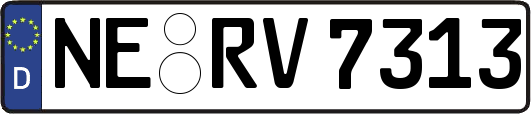 NE-RV7313