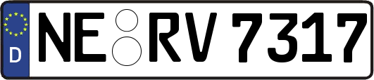 NE-RV7317