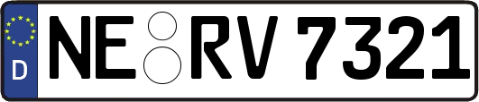 NE-RV7321