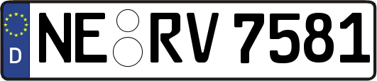 NE-RV7581