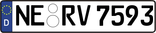 NE-RV7593