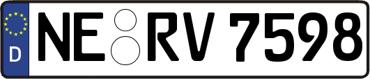 NE-RV7598