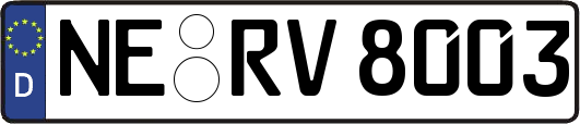 NE-RV8003
