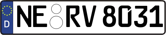 NE-RV8031