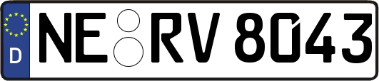 NE-RV8043
