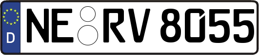 NE-RV8055