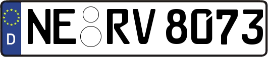 NE-RV8073