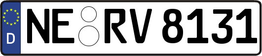 NE-RV8131