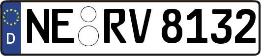 NE-RV8132