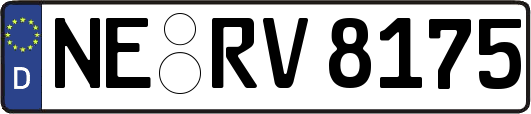 NE-RV8175