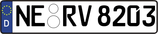 NE-RV8203