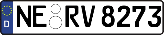 NE-RV8273