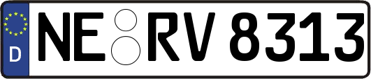 NE-RV8313