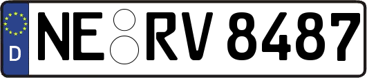 NE-RV8487