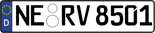 NE-RV8501