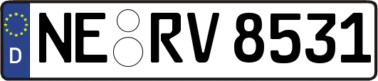 NE-RV8531