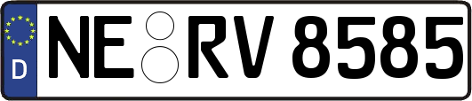 NE-RV8585