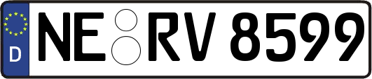 NE-RV8599
