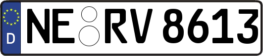 NE-RV8613